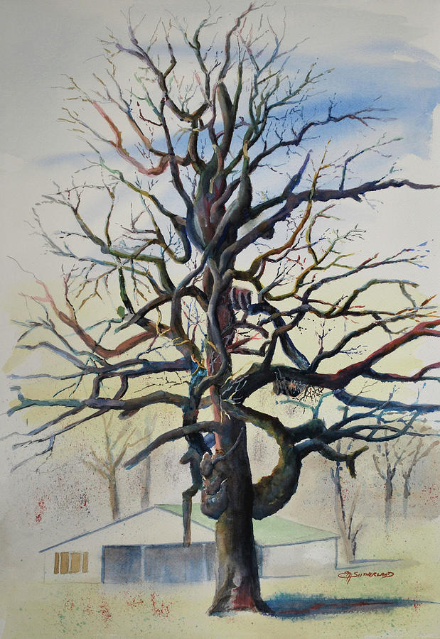 Post Oak in Winter Painting by E M Sutherland