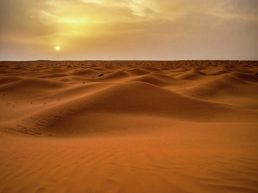 Posta De Sol Al Desert De Tunisia Photograph by Copyright Antoni Torres