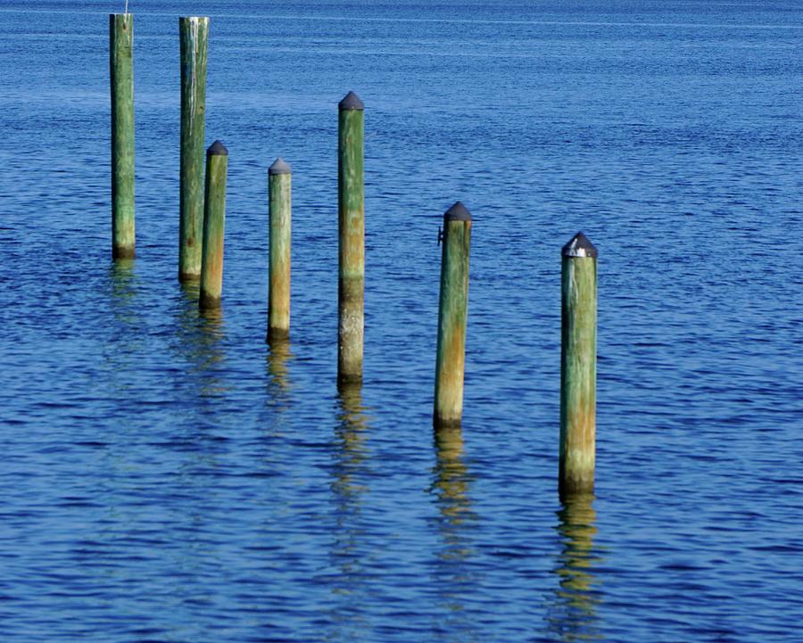Boat Photograph - Posts in the Water by Norma Brock