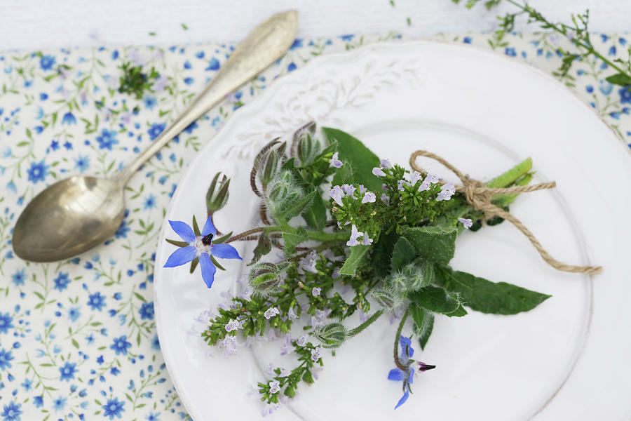 Posy Of Calamint And Borage On Plate Photograph by Martina Schindler