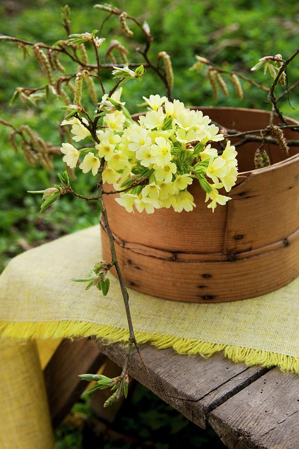 Posy Of Cowslips And Hazel Twigs In Old Wooden Container On Wooden Table In Garden Photograph by Sabine Lscher