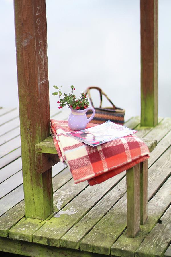 Posy Of Cranberries On Picnic Blanket On Lake Shore Photograph by Sylvia E.k Photography