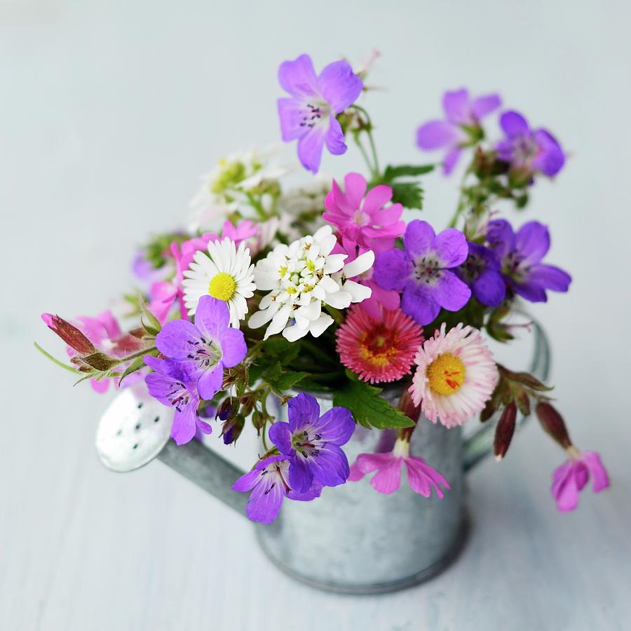 Posy Of Garden Flowers In Metal Watering Can Photograph by Sonia Chatelain