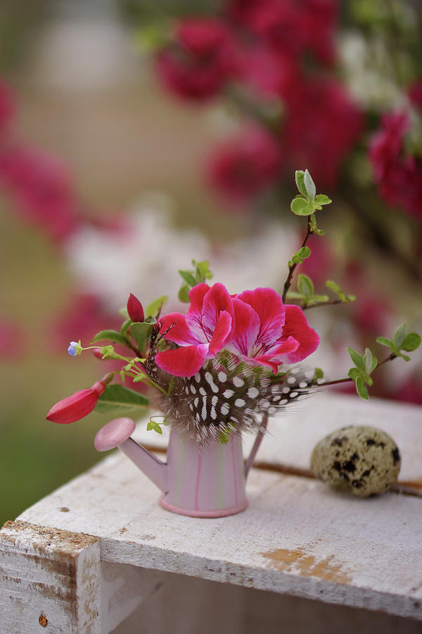 Posy Of Geraniums, Fuchsia, Feather And Apple Twig In Tiny Watering Can Photograph by Angelica Linnhoff