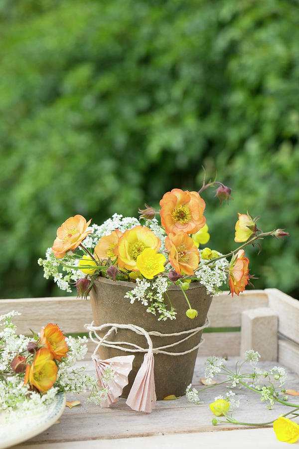 Posy Of Geums, Buttercups And Cow Parsley Photograph by Martina Schindler