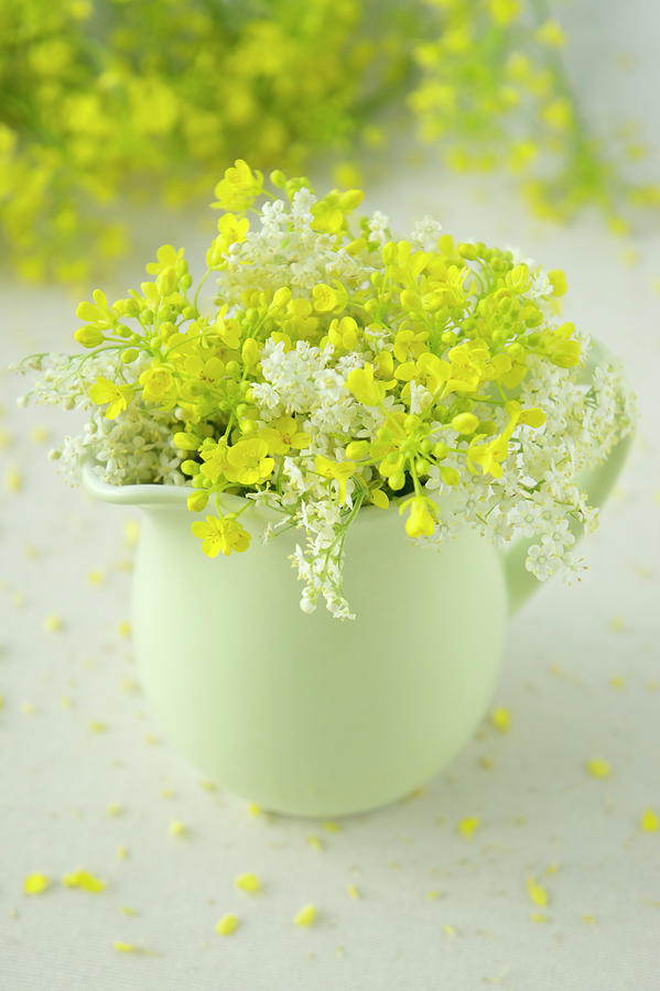 Posy Of Oilseed Rape Flowers And Elderflowers Photograph by Martina Schindler