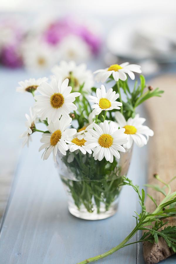 Posy Of Ox-eye Daisies In Drinking Glass Photograph by Martina Schindler