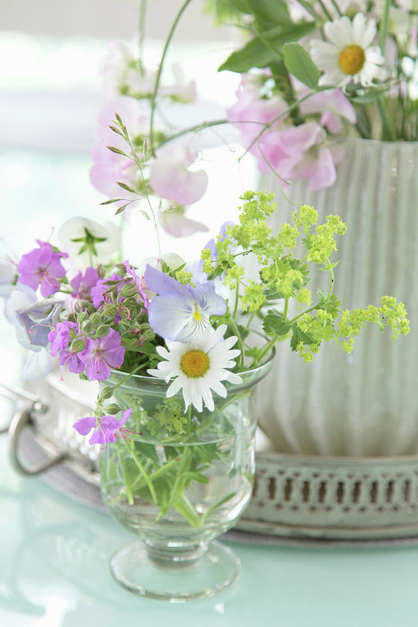 Posy Of Ox-eye Daisies, Ladys Mantle, Cranesbill And Vetches Photograph by Sonja Zelano