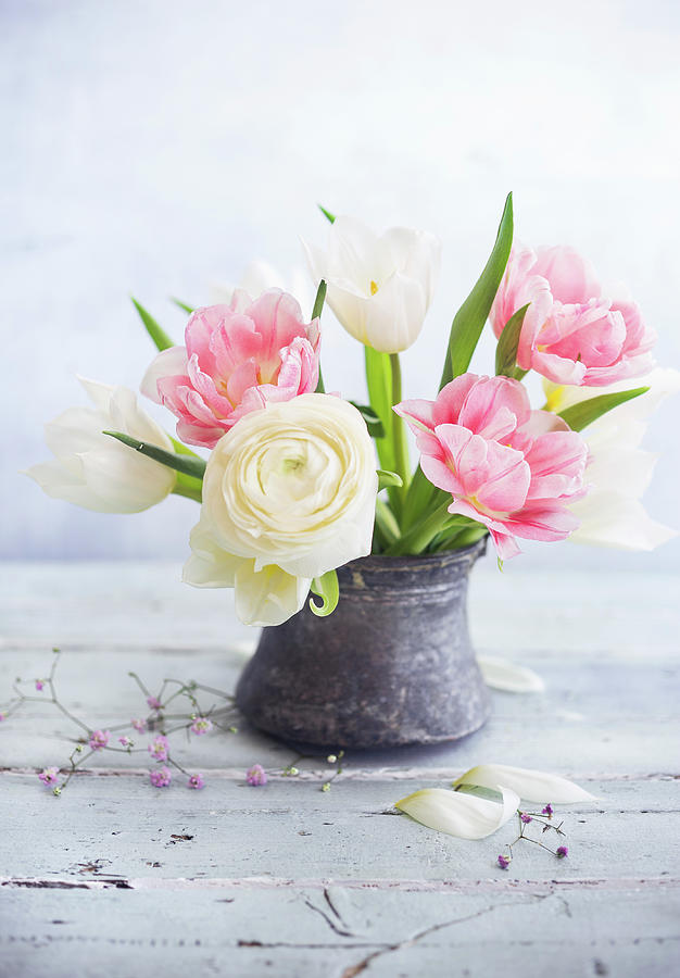 Posy Of Ranunculus And Tulips In Vase Photograph by Ira Leoni