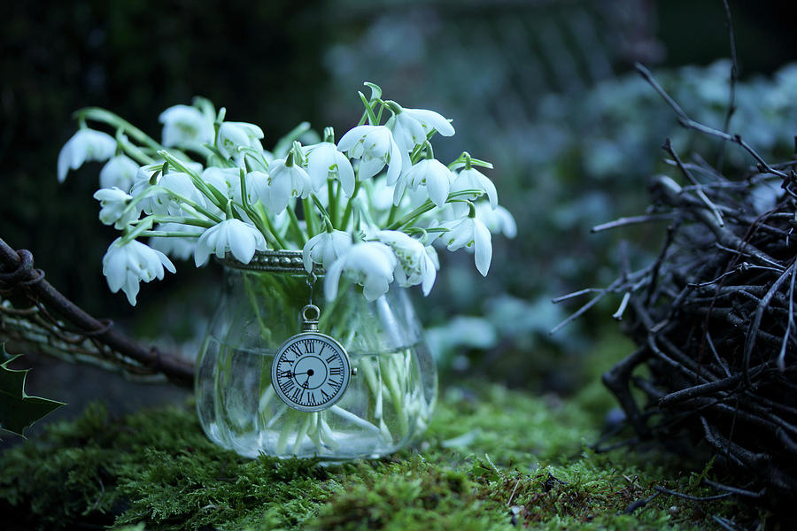 Posy Of Snowdrops In Vintage-style Glass Vase On Moss Photograph by Angelica Linnhoff