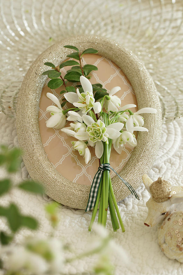 Posy Of Snowdrops Lying On Picture Frame Photograph by Angelica Linnhoff