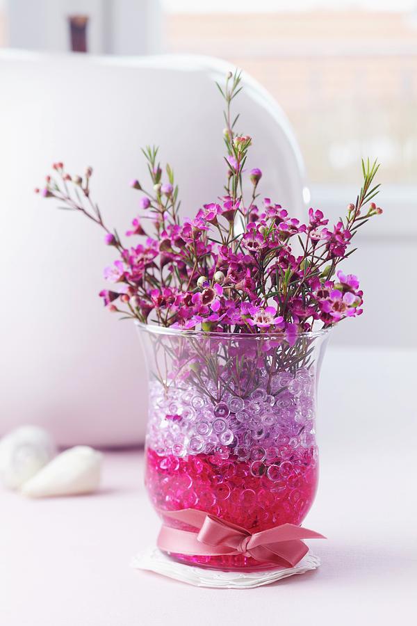 Posy Of Waxflowers chamelaucium Uncinatum In Glass Vase With Decorative Pebbles Photograph by Franziska Taube