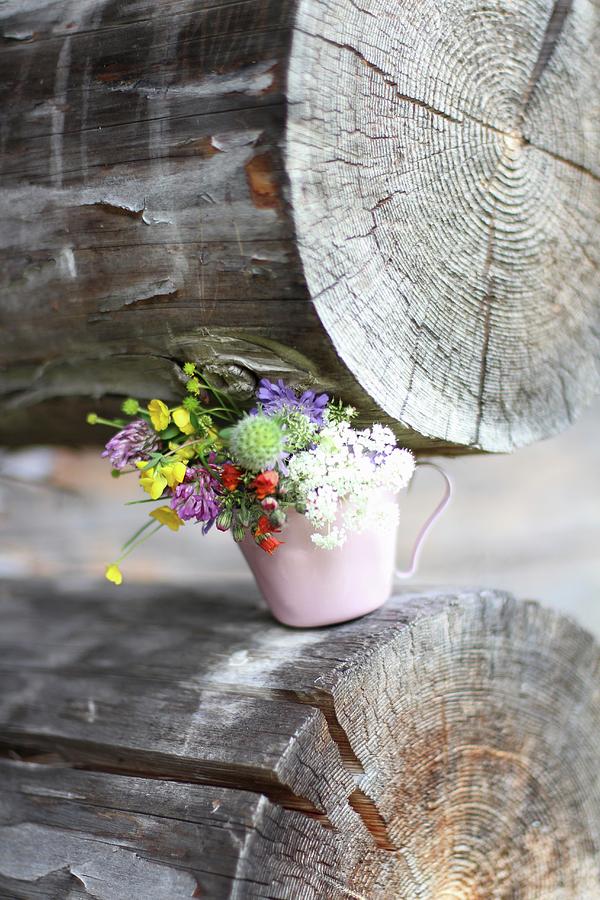 Posy Of Wild Flowers In Cup On Log Photograph by Sylvia E.k Photography
