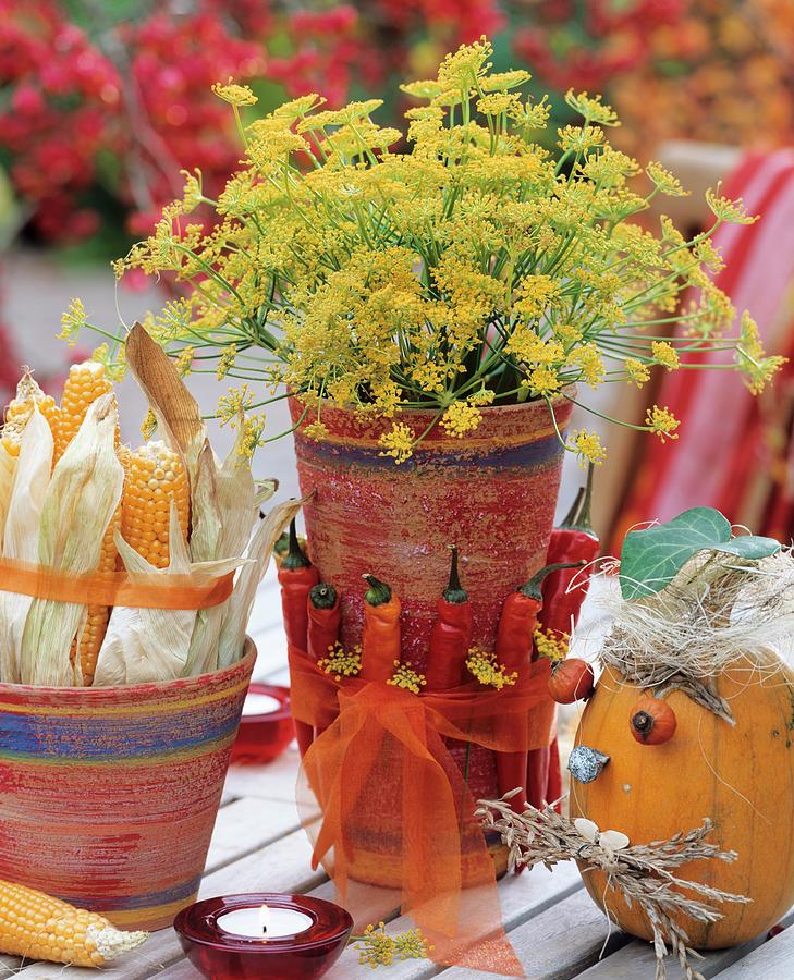 Pot Decorated With Dill & Chillies, Corncobs & Pumpkin Face Photograph by Friedrich Strauss