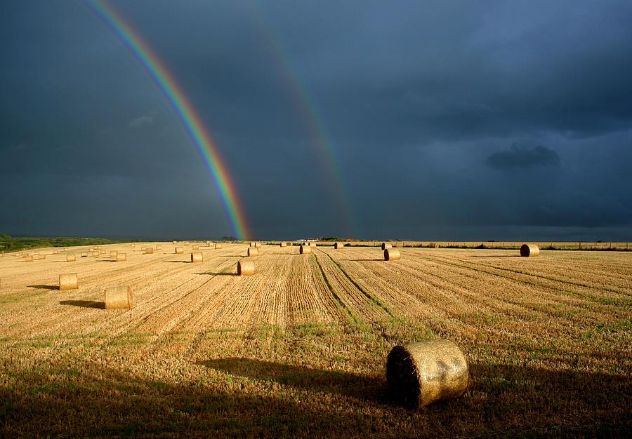 Pot Of Gold Photograph by Andrew Turner