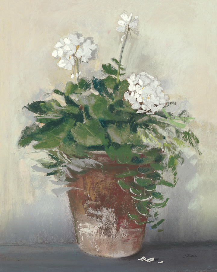 Flower Painting - Pot Of White Geraniums by Carol Rowan
