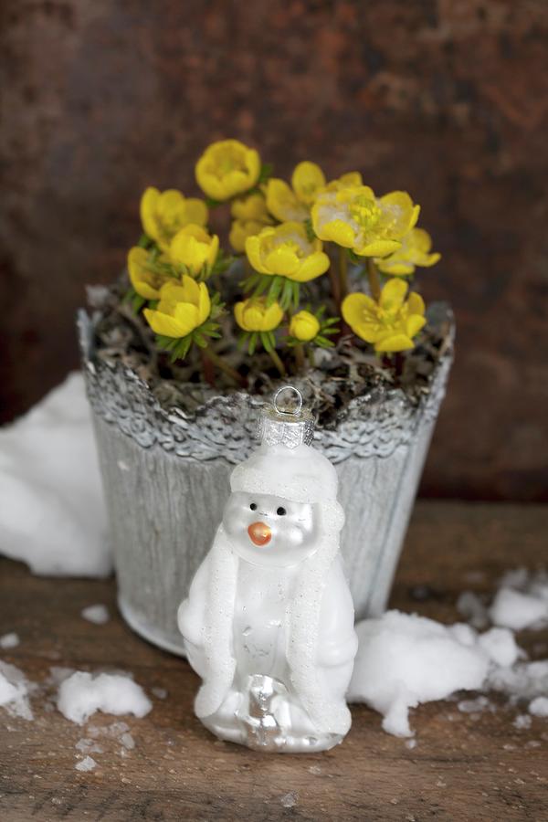 Pot Of Winter Aconites And Snowman Christmas Tree Bauble Photograph by Martina Schindler
