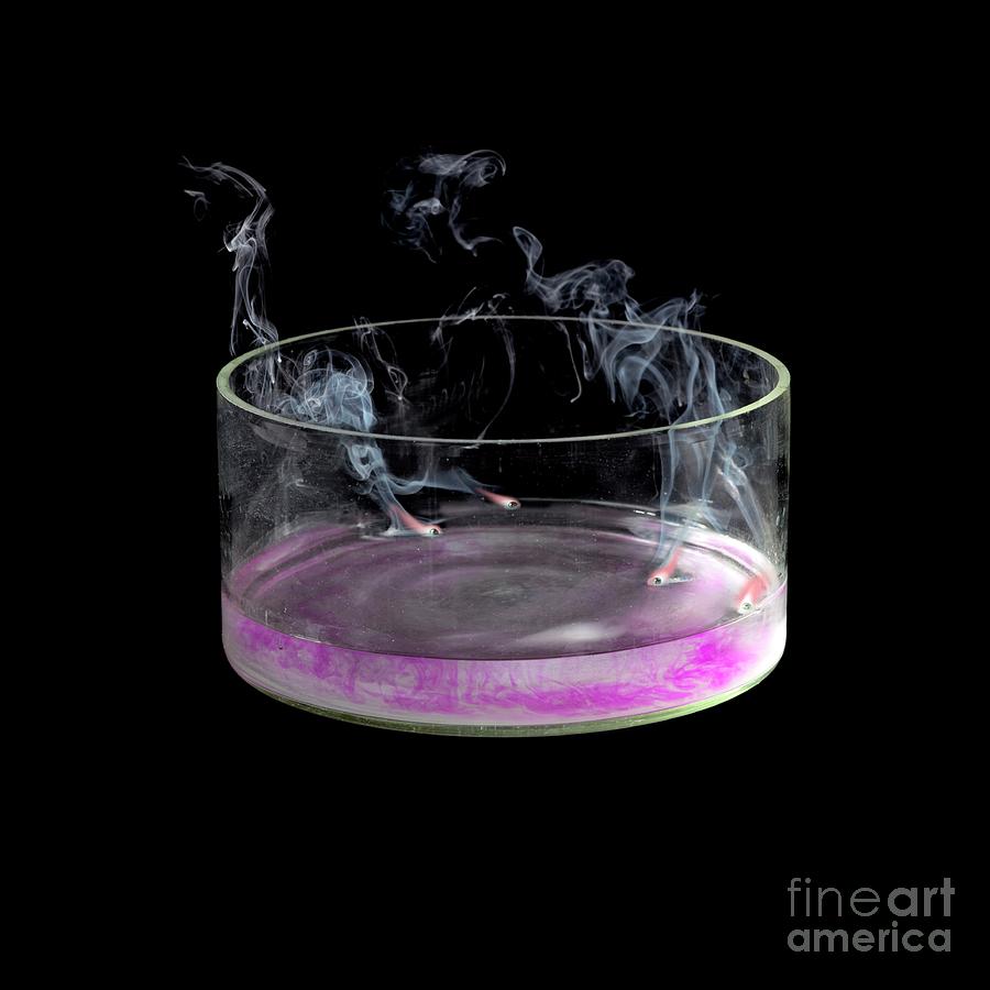 Potassium Reacting With Water Photograph by Science Photo Library