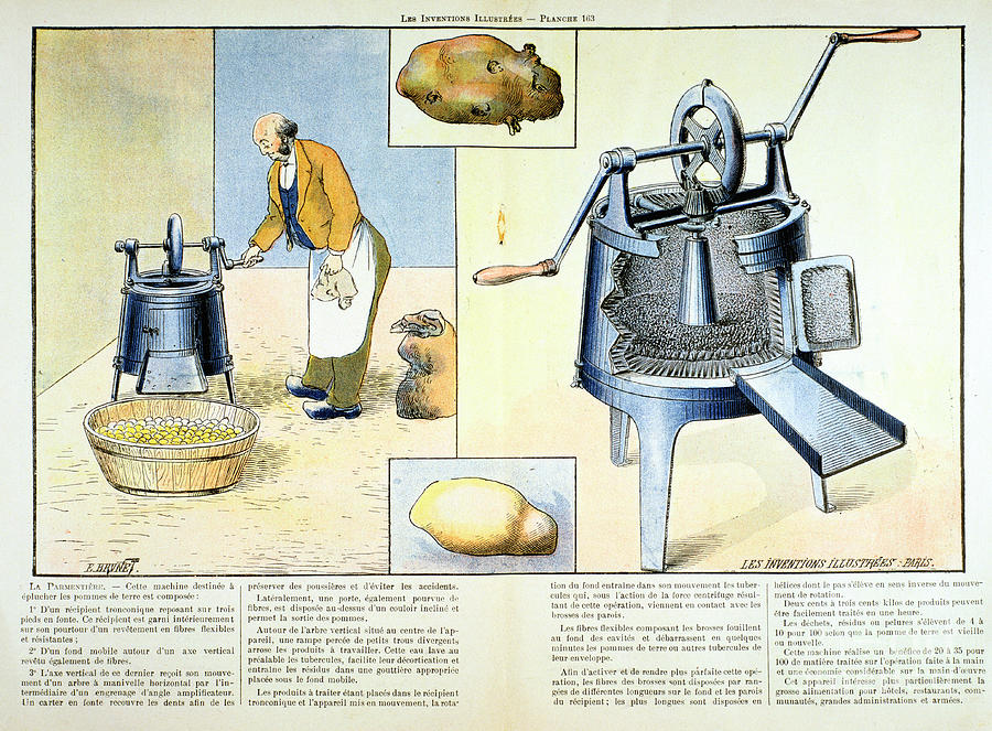 Potato Peeler, 1899 Drawing by Print Collector