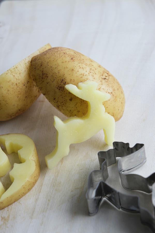 Potato Print - Cut-out Potato Deer And Pastry Cutter Photograph by Martina Schindler