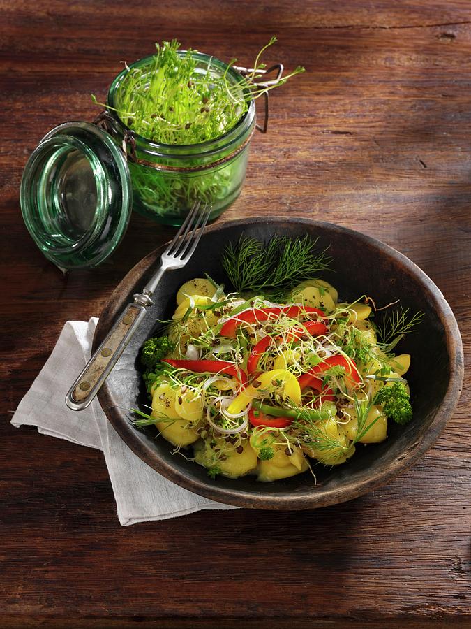 Potato Salad With Green Lentils, Peppers And Lentil Shoots Photograph by Karl Newedel