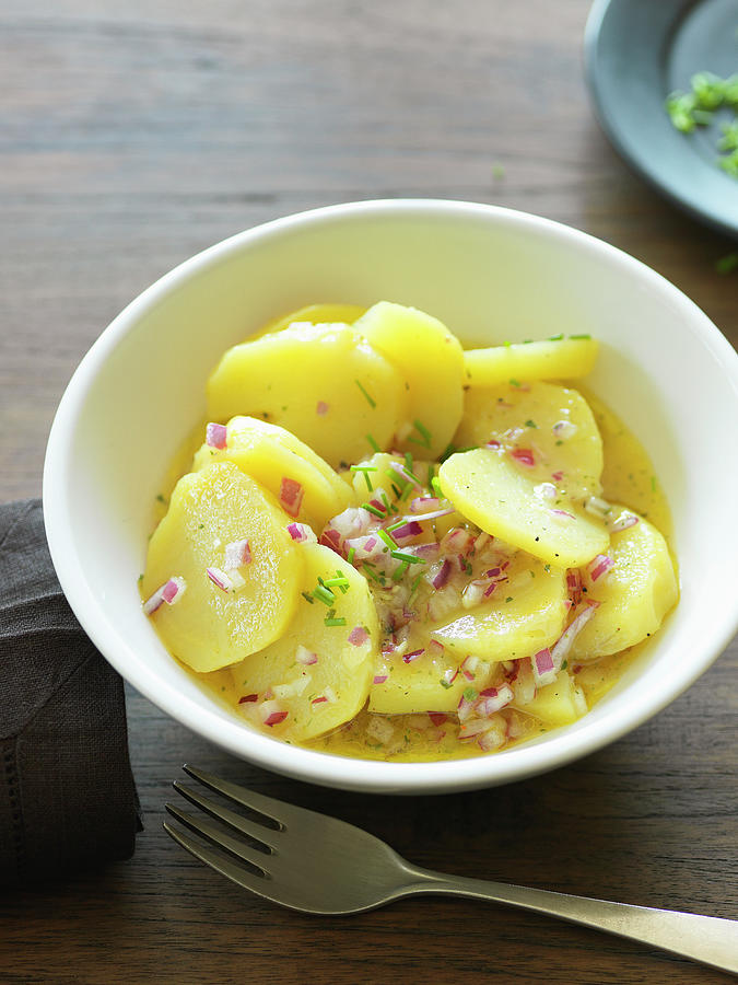 Potato Salad With Red Onions Photograph by Andreas Thumm - Fine Art America