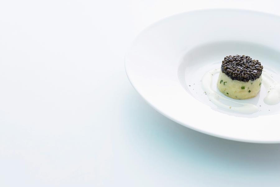 Potato Timbale With Caviar And Lime Cream Photograph by Michael Wissing
