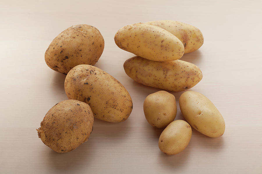 Potato Varieties Photograph by Eising Studio