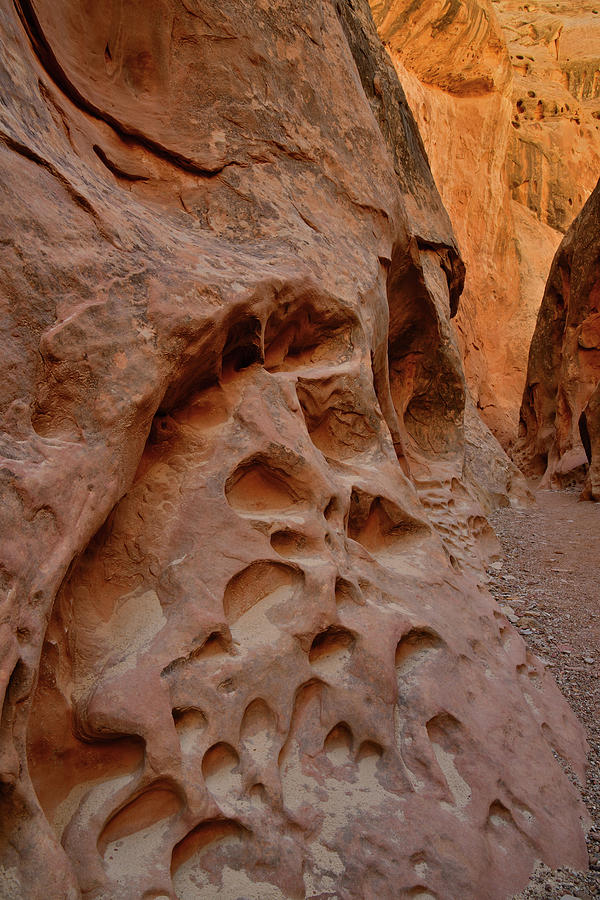 Potholed Canyon Walls in Little Wild Horse Slot Photograph by Ray Mathis