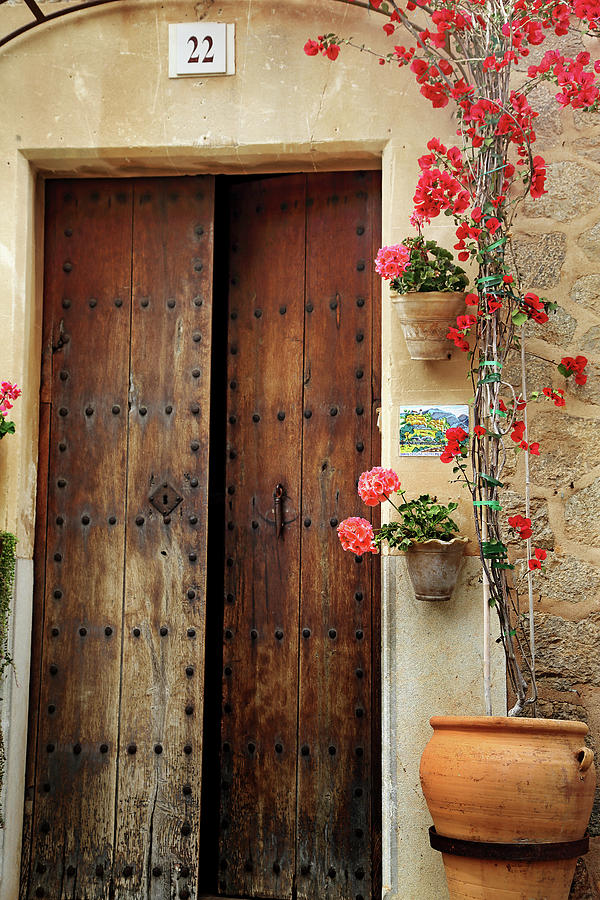 Pots Flowrrs before the Door Photograph by Catalina Lira - Fine Art America