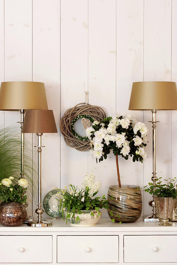 Potted Azalea Surrounded By Gold Table Lamps Photograph by Angelica Linnhoff