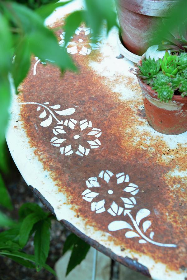 Potted House Leeks On Rusty Old Garden Table With Stencilled Floral Motifs Photograph by Revier 51