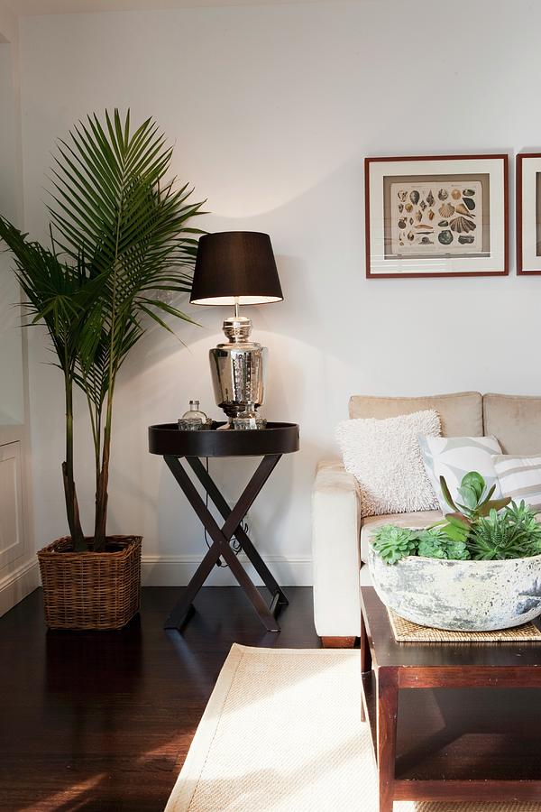 Potted Palm Tree Next To Table Lamp On Side Table In Corner Of Modern Living Room Photograph by Bayside