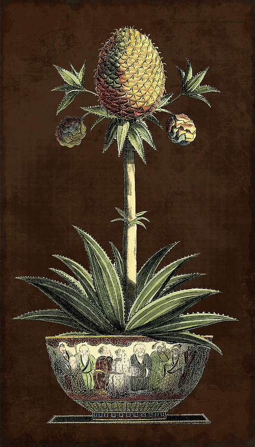 Still Life Painting - Potted Pineapple I by Vision Studio
