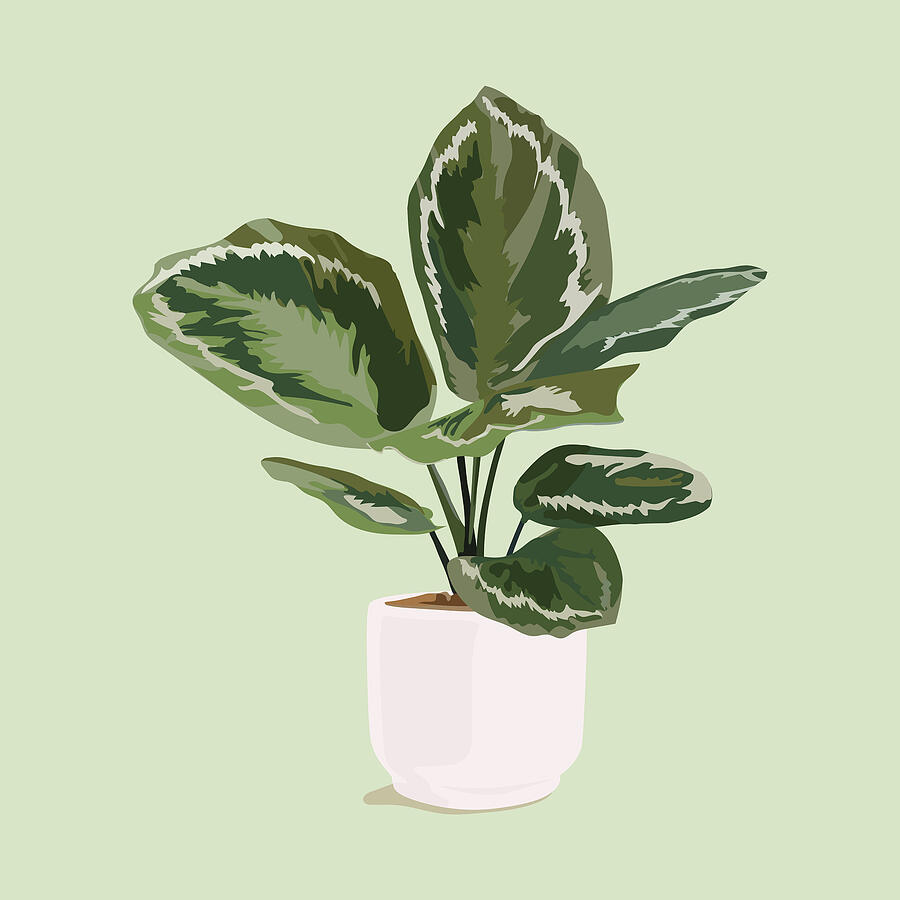 Potted Plant On Light Green Background Digital Art by Trendy Art Potted Plant On Light Green Background Digital Art by Trendy Art
