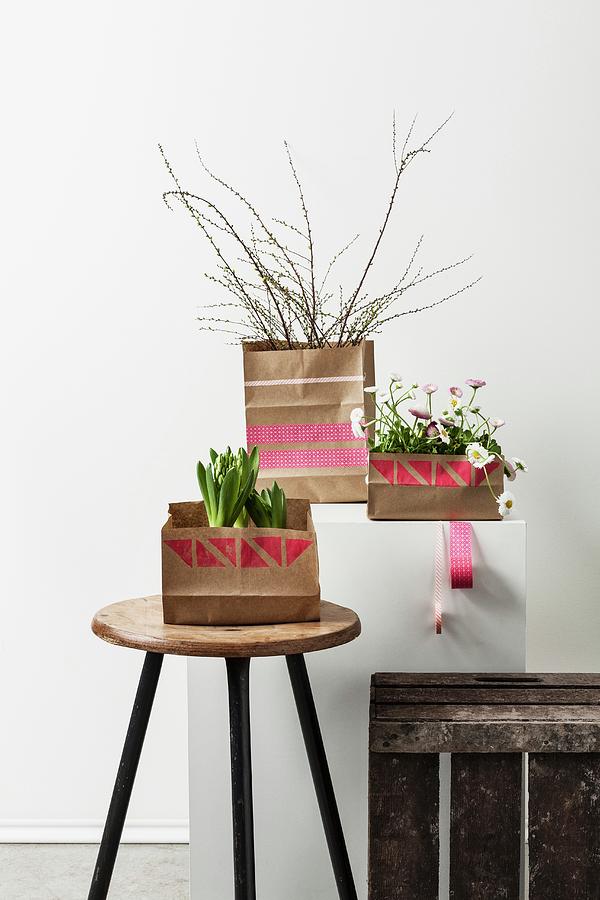 Potted Plants In Paper Bags Printed With Graphic Patterns On Stool And Plinth Photograph by Michael Tasca