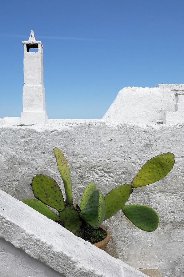 Potted Prickly Pear Amongst Whitewashed Walls Photograph by Henri Del Olmo