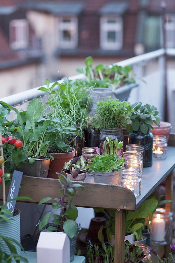 Potting Bench On Roof Terrace Decorated With Plants And Tealights At Twilight Photograph by Eising Studio - Food Photo & Video