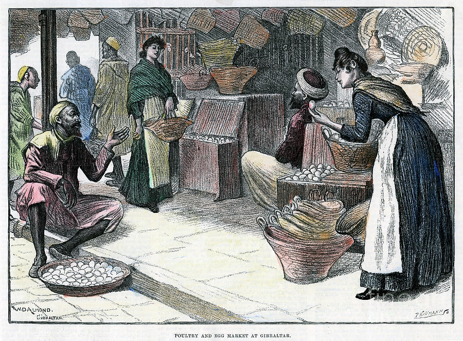 Poultry And Egg Market In Gibraltar Drawing by Print Collector
