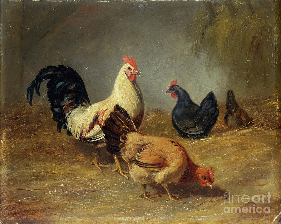 Poultry Feeding, 1867 Painting by Arthur Fitzwilliam Tait - Fine Art ...