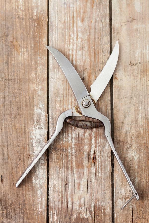 Poultry Scissors On A Wooden Surface Photograph by Rua Castilho