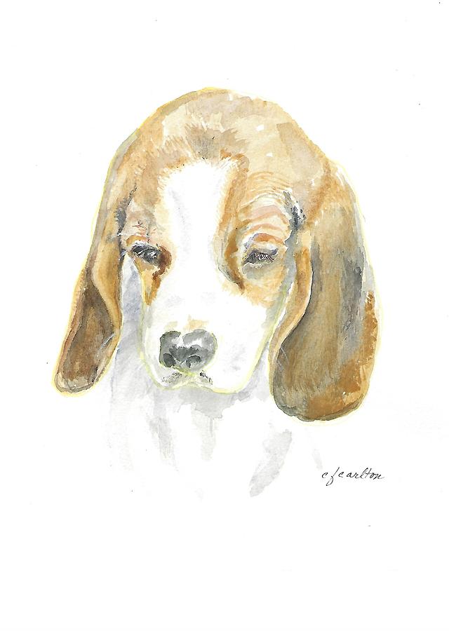 Pound Puppy - Watercolor Painting by Claudette Carlton