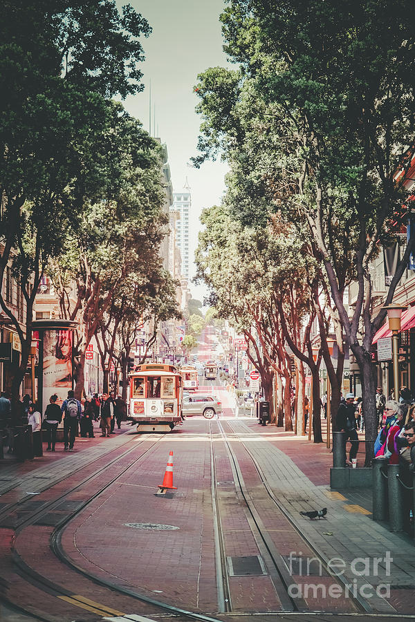 Powell St in San Francisco Photograph by Claudia M Photography