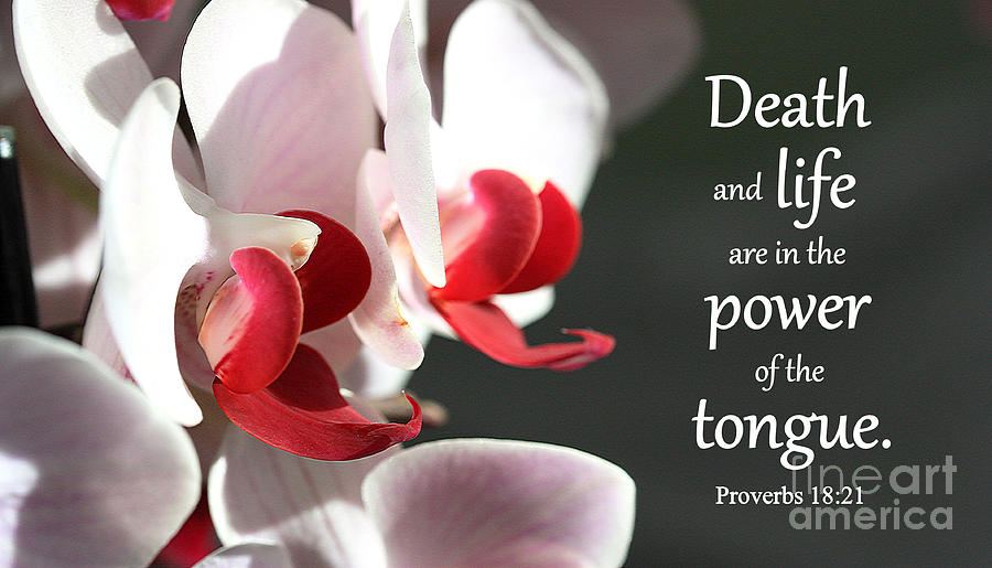 Power of the Tongue by Patti Whitten Power of the Tongue by Patti Whitten