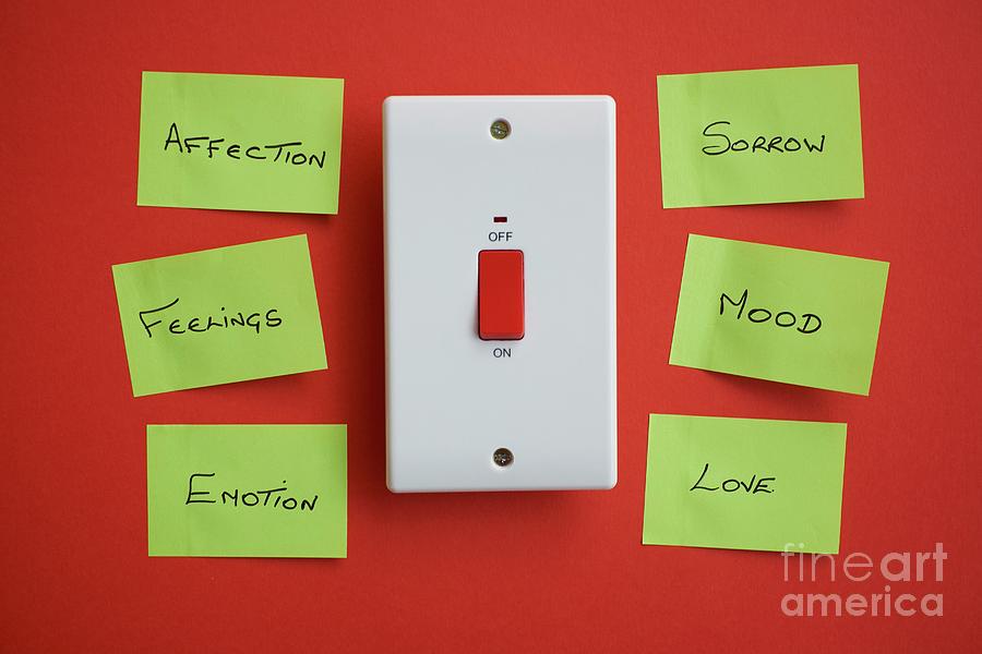 Power Switch With Emotions And Feelings On Post Its Photograph by Ian Hooton/science Photo Library