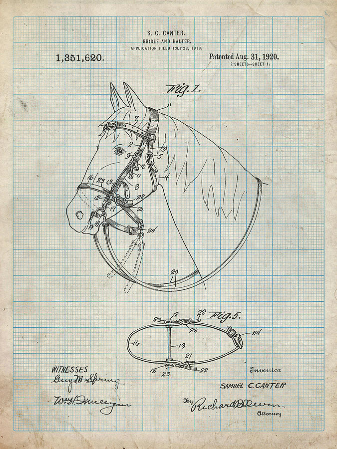 Animal Digital Art - Pp338-antique Grid Parchment Bridle And Halter Patent Poster by Cole Borders