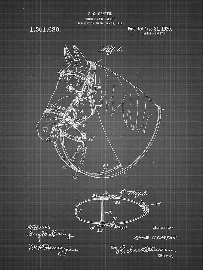 Animal Digital Art - Pp338-black Grid Bridle And Halter Patent Poster by Cole Borders