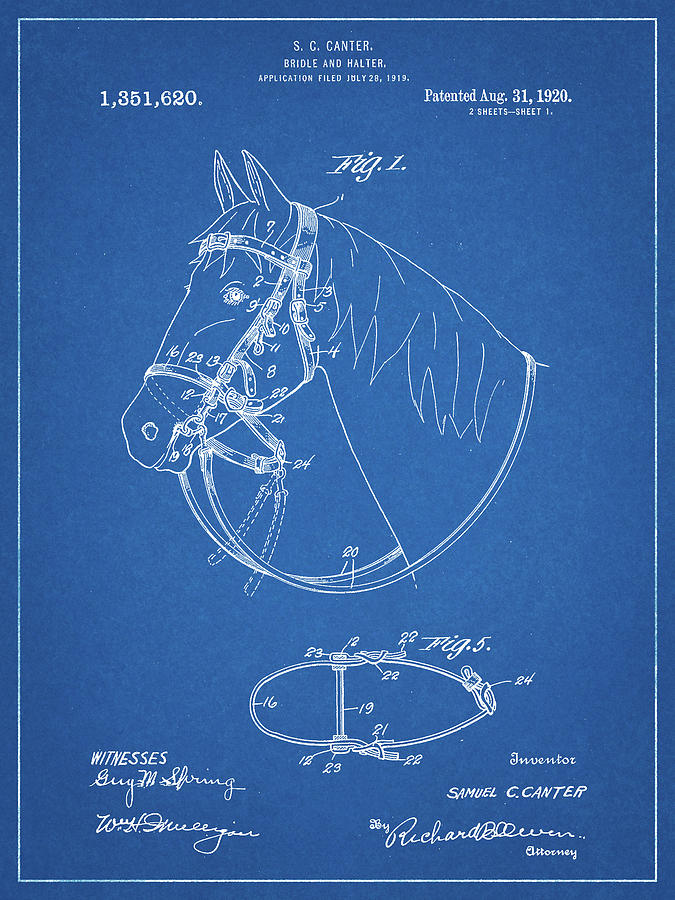 Animal Digital Art - Pp338-blueprint Bridle And Halter Patent Poster by Cole Borders