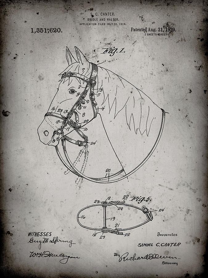 Animal Digital Art - Pp338-faded Grey Bridle And Halter Patent Poster by Cole Borders