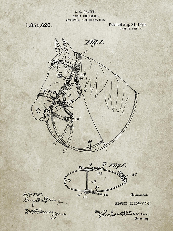 Animal Digital Art - Pp338-sandstone Bridle And Halter Patent Poster by Cole Borders